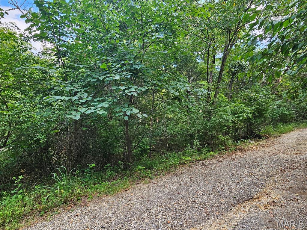 9468 Bent Tree Drive Property Photo 8