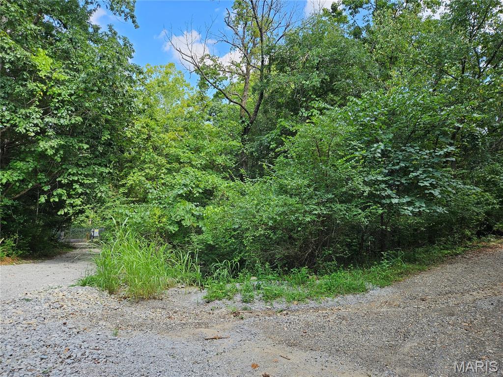 9468 Bent Tree Drive Property Photo 9