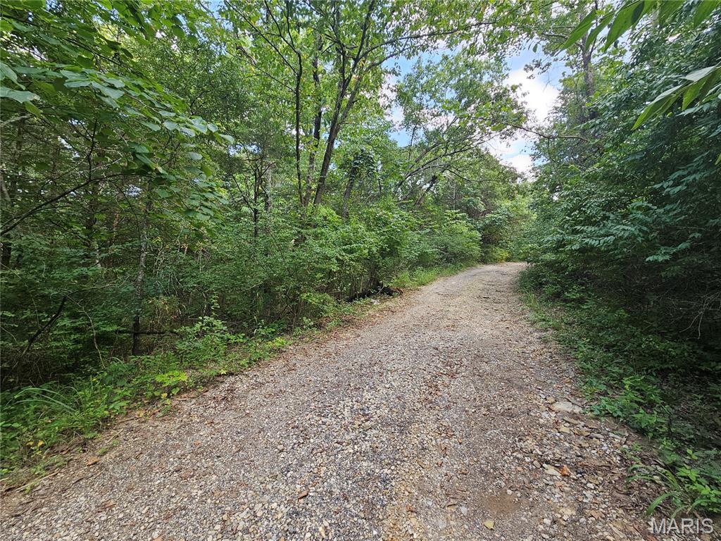 9468 Bent Tree Drive Property Photo 10