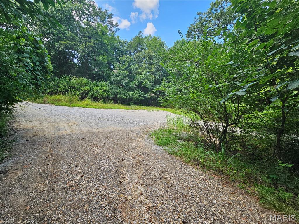 9468 Bent Tree Drive Property Photo 11