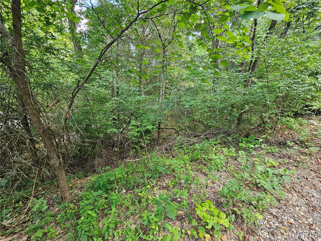 9468 Bent Tree Drive Property Photo 12