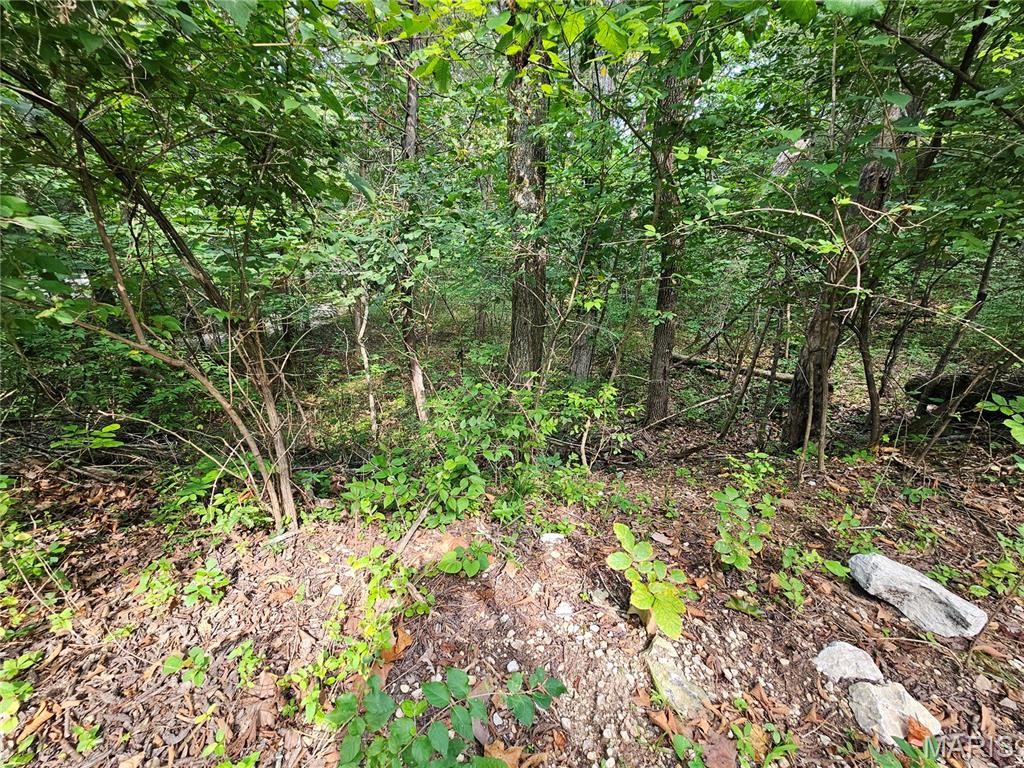 9468 Bent Tree Drive Property Photo 13