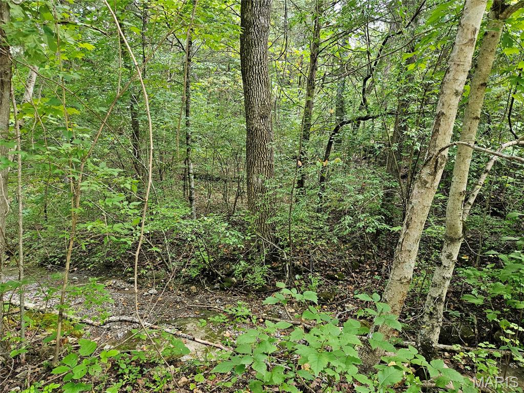 9468 Bent Tree Drive Property Photo 14