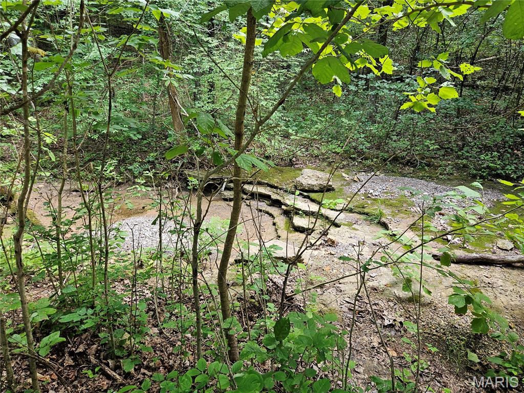 9468 Bent Tree Drive Property Photo 15