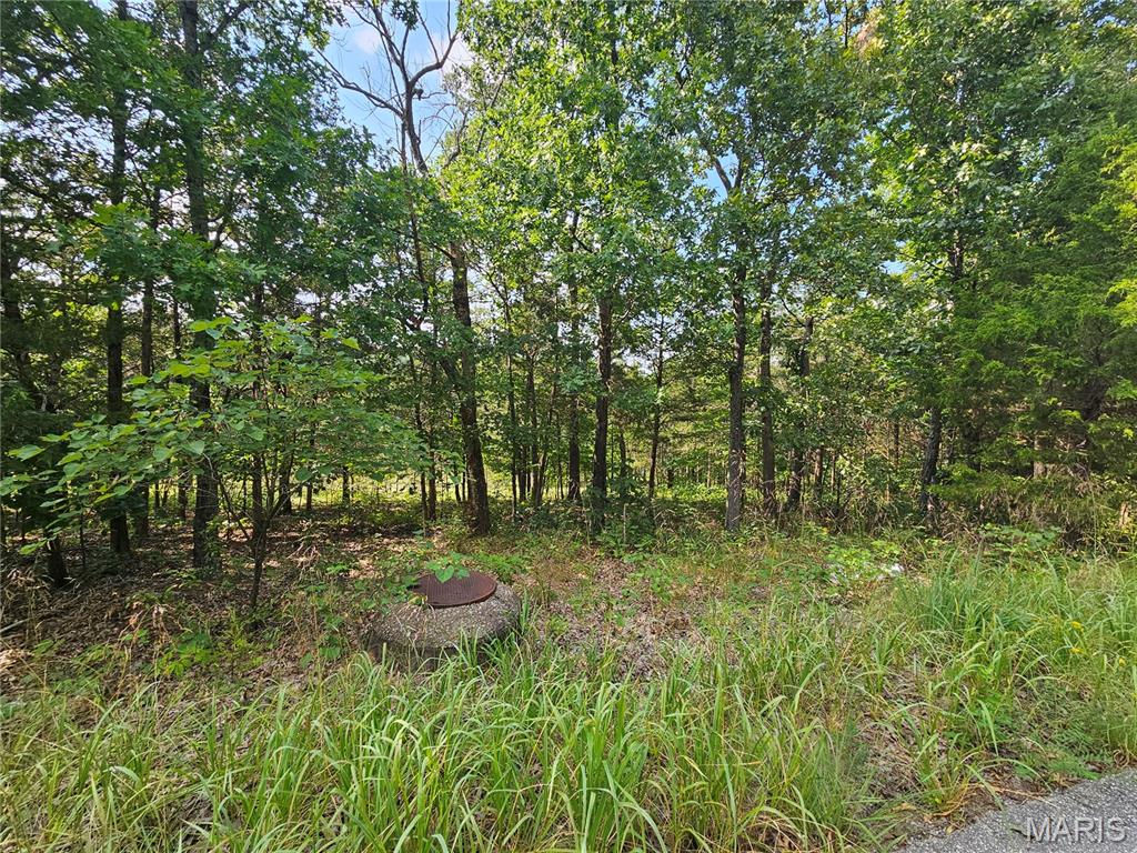 10515 Eagles Nest Drive Property Photo 1