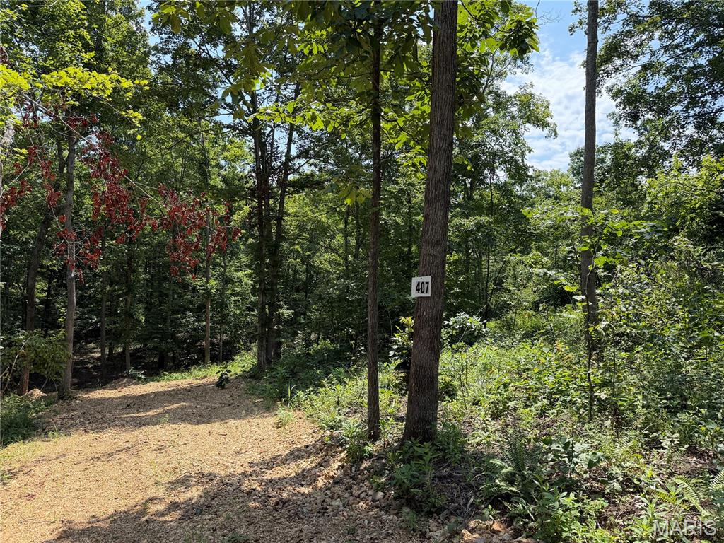 #407 Madison 410 Property Photo 1