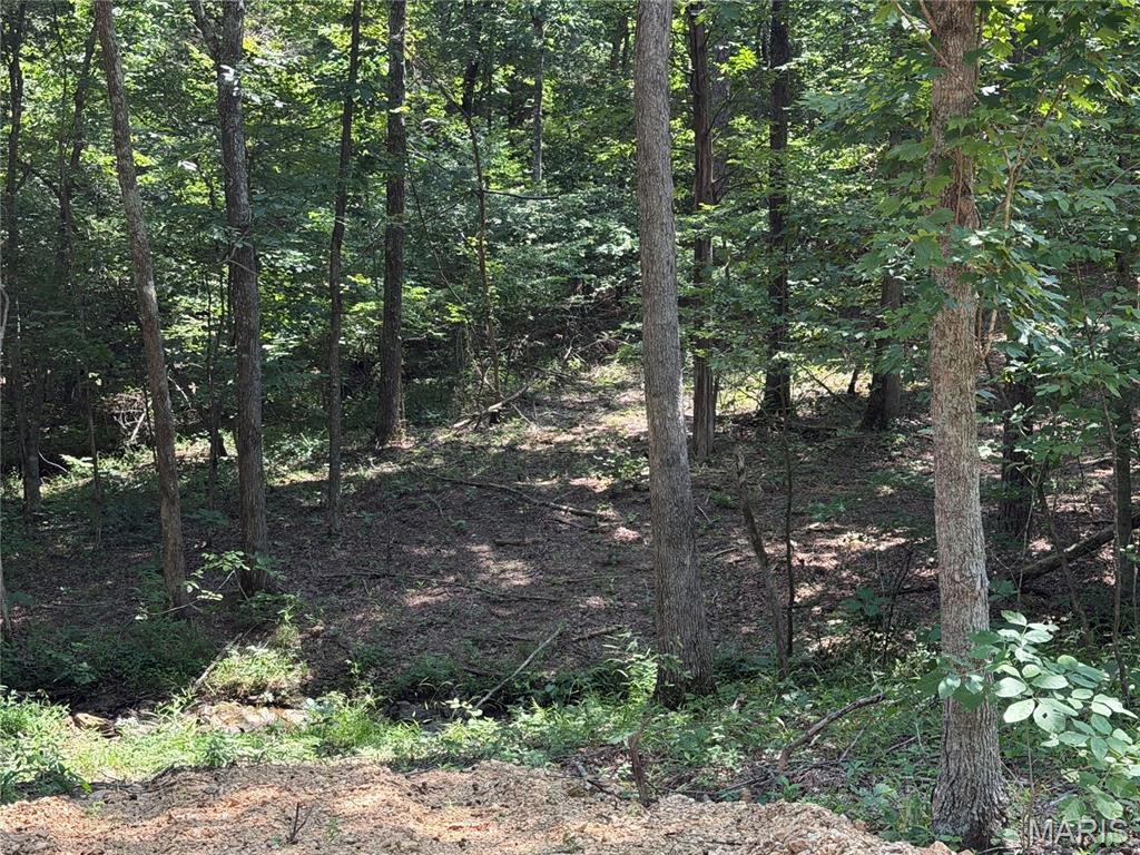 #407 Madison 410 Property Photo 2