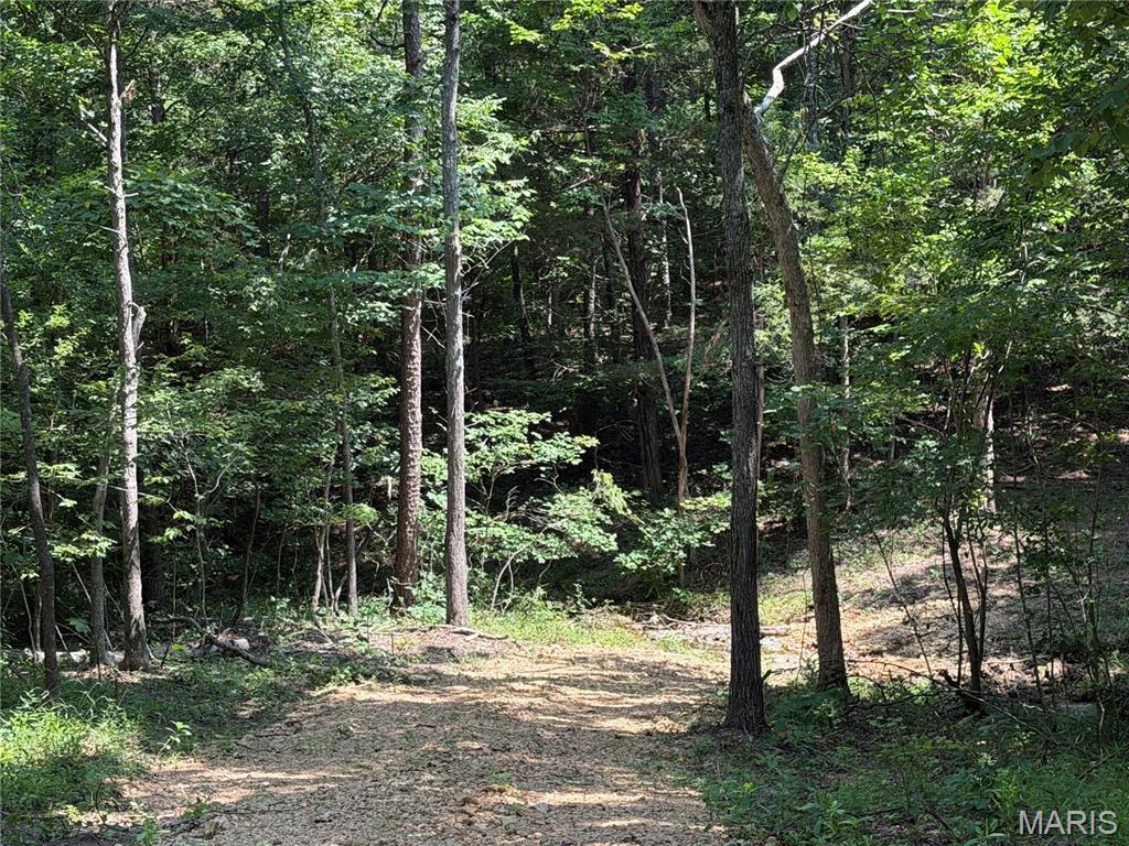 #407 Madison 410 Property Photo 3