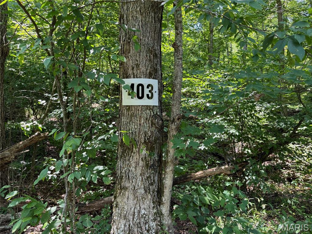 #403 Madison 410 Property Photo 1
