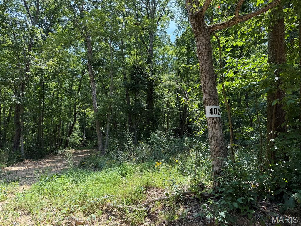 #402 Madison 410 Property Photo 1