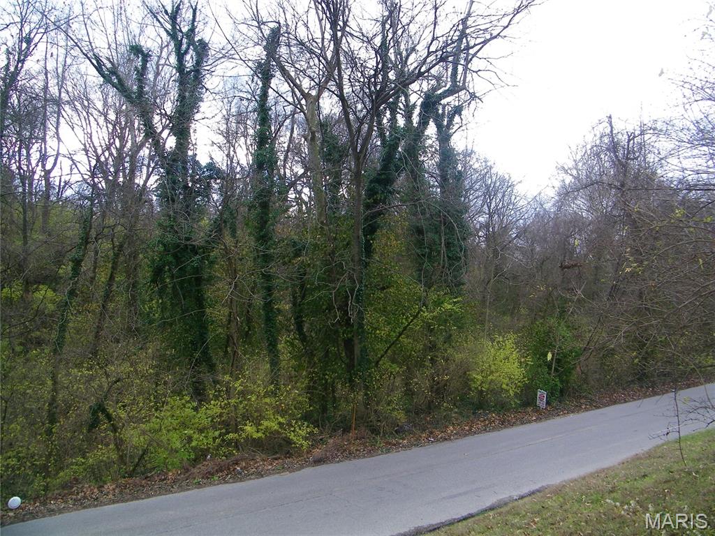 9831 Valley Drive Property Photo 1