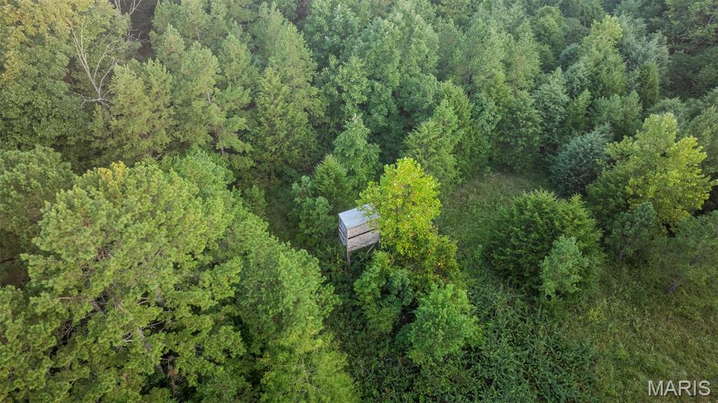 11620 Slaughter Road Property Photo 1