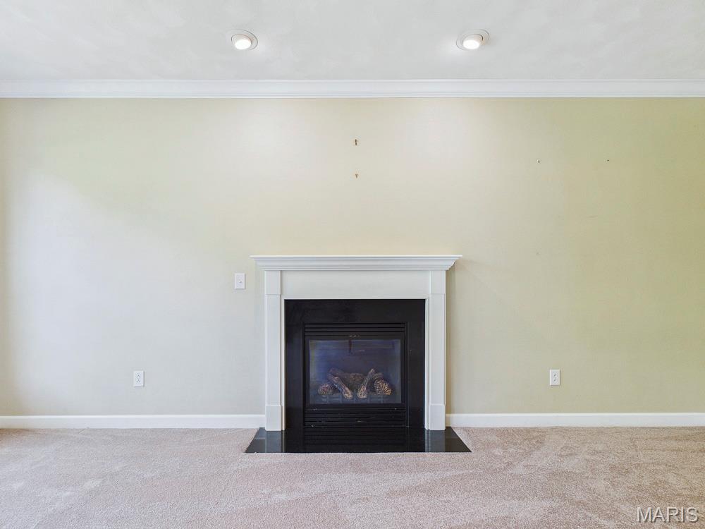 1408 Clifton Way Court Property Photo 15