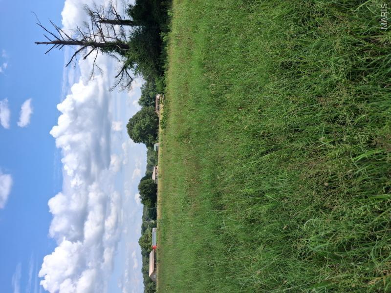 60 Rainbow Trout Loop Property Photo 5