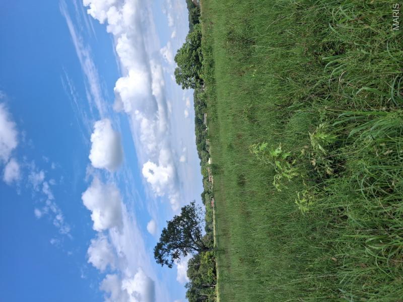 60 Rainbow Trout Loop Property Photo 6