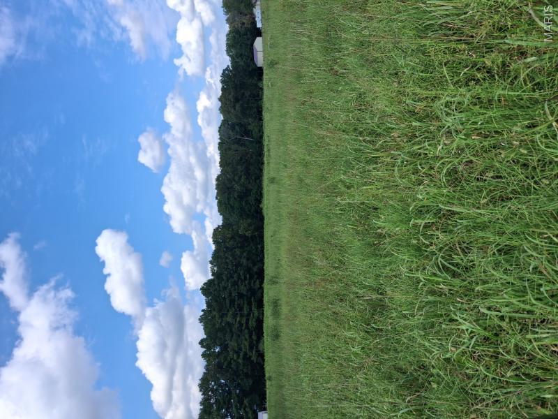 60 Rainbow Trout Loop Property Photo 7