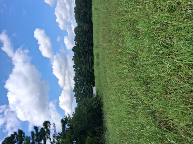 60 Rainbow Trout Loop Property Photo 8