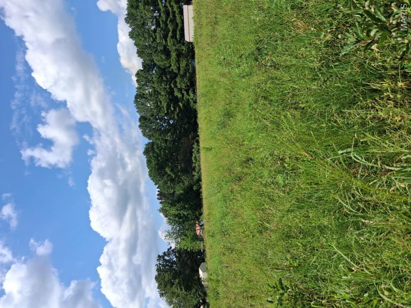60 Rainbow Trout Loop Property Photo 9