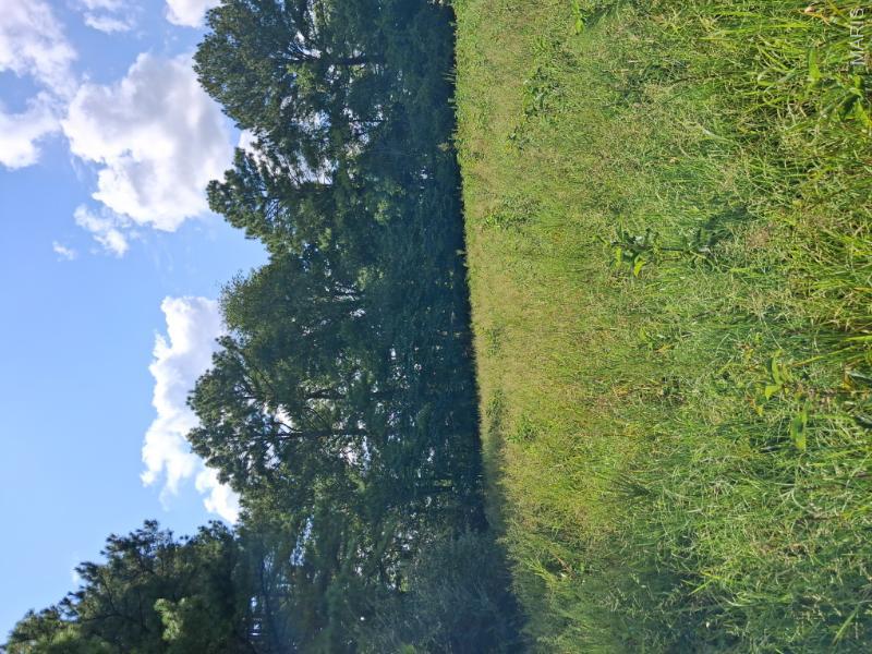 60 Rainbow Trout Loop Property Photo 10