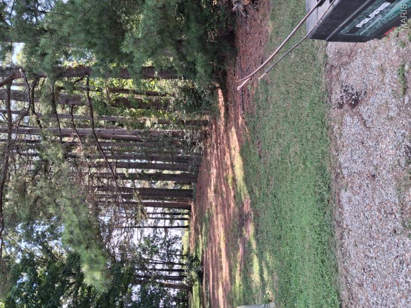 60 Rainbow Trout Loop Property Photo 11
