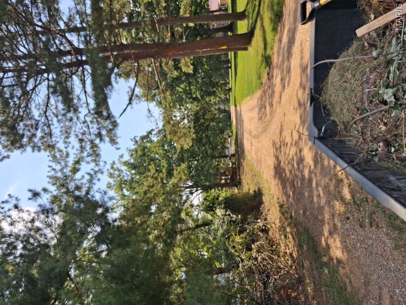 60 Rainbow Trout Loop Property Photo 12