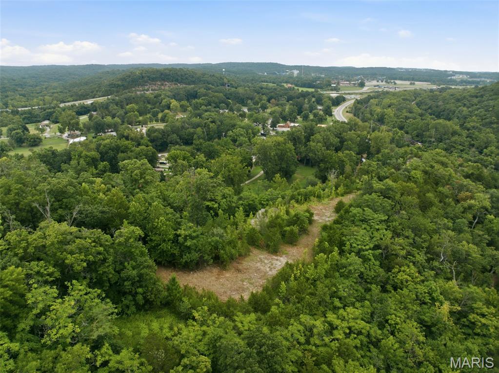 18540 Fox Creek Forest Drive Property Photo 5