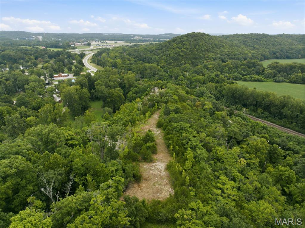 18540 Fox Creek Forest Drive Property Photo 6