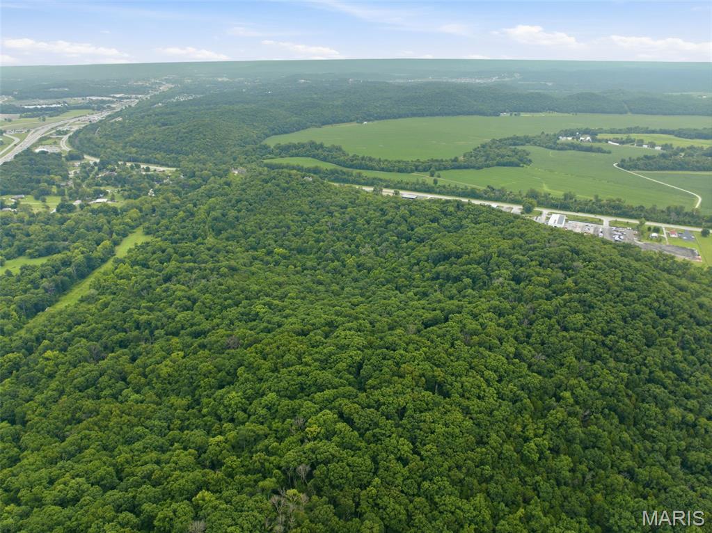 18540 Fox Creek Forest Drive Property Photo 7