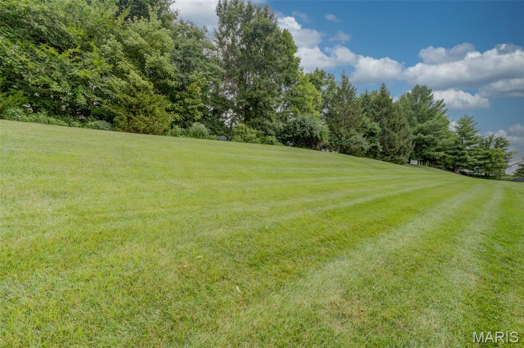 1305 Renaissance Place Property Photo 56