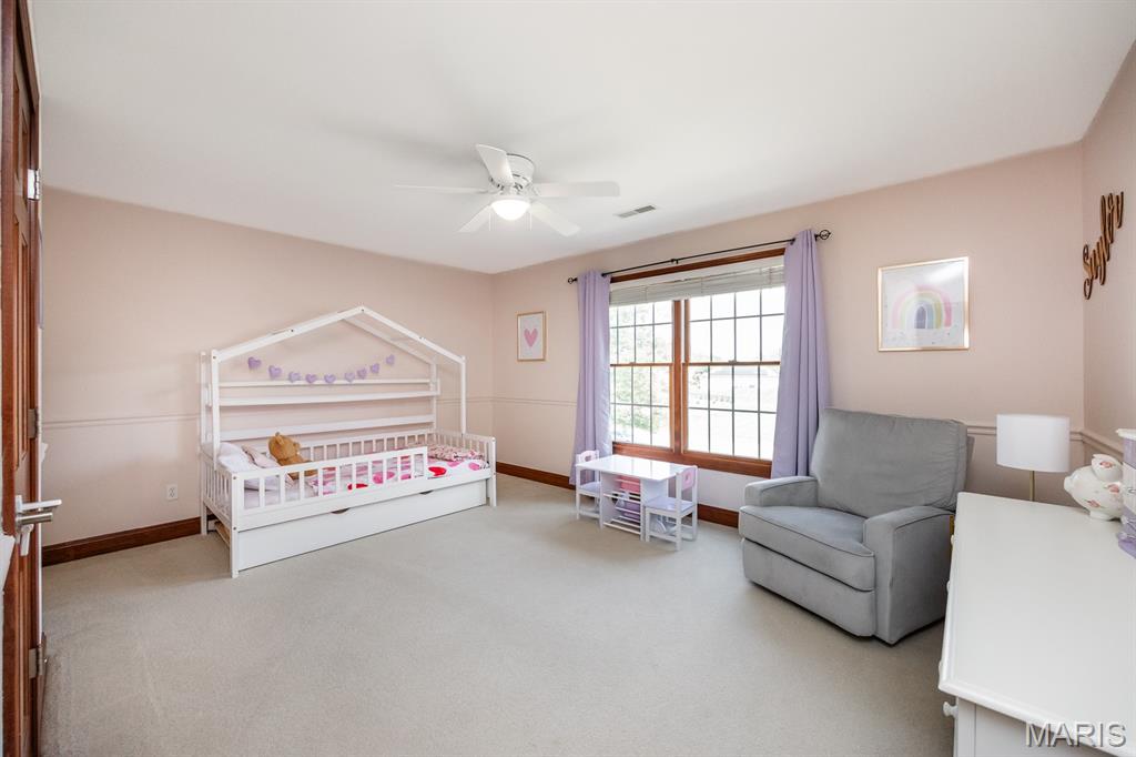 4209 Cassatt Court Property Photo 29