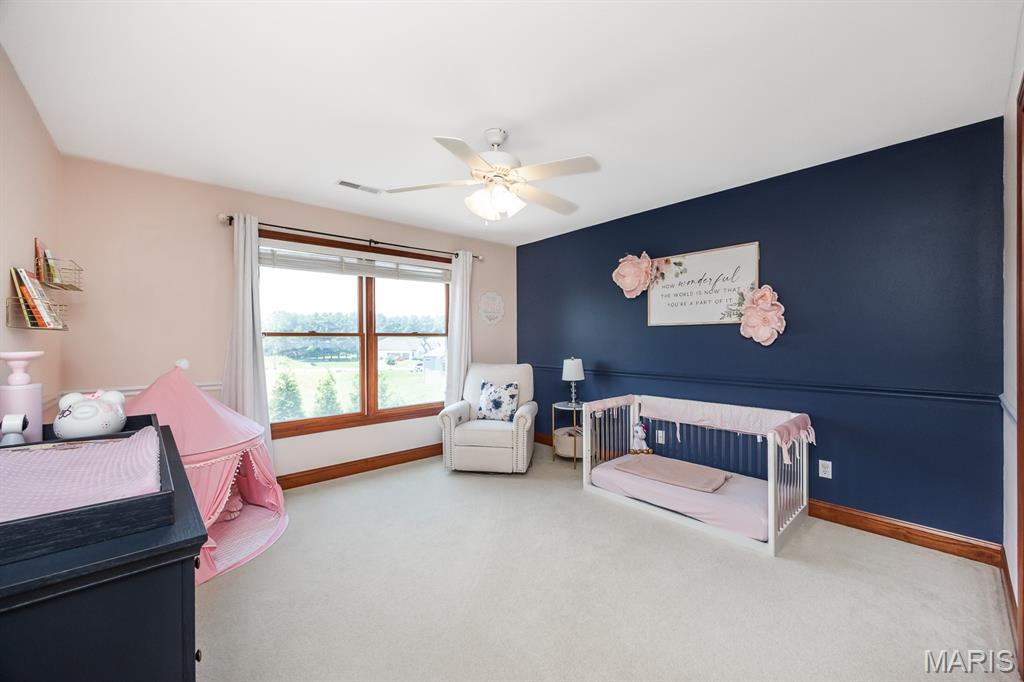 4209 Cassatt Court Property Photo 33