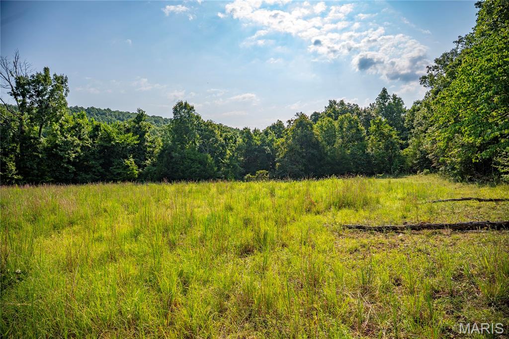 160 County Road 203 Property Photo 1