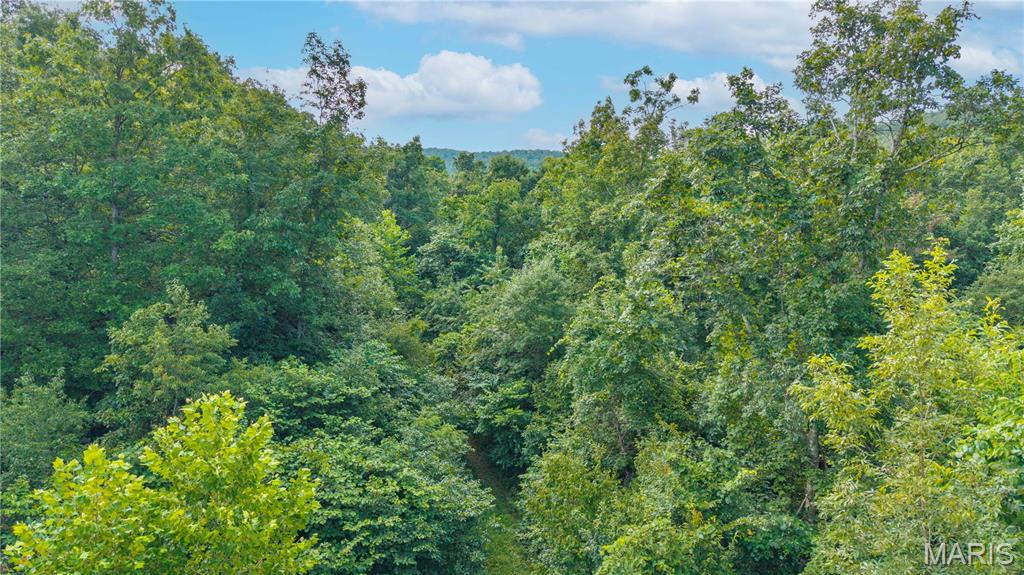 160 County Road 203 Property Photo 10