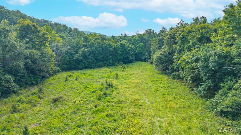 160 County Road 203 Property Photo 12