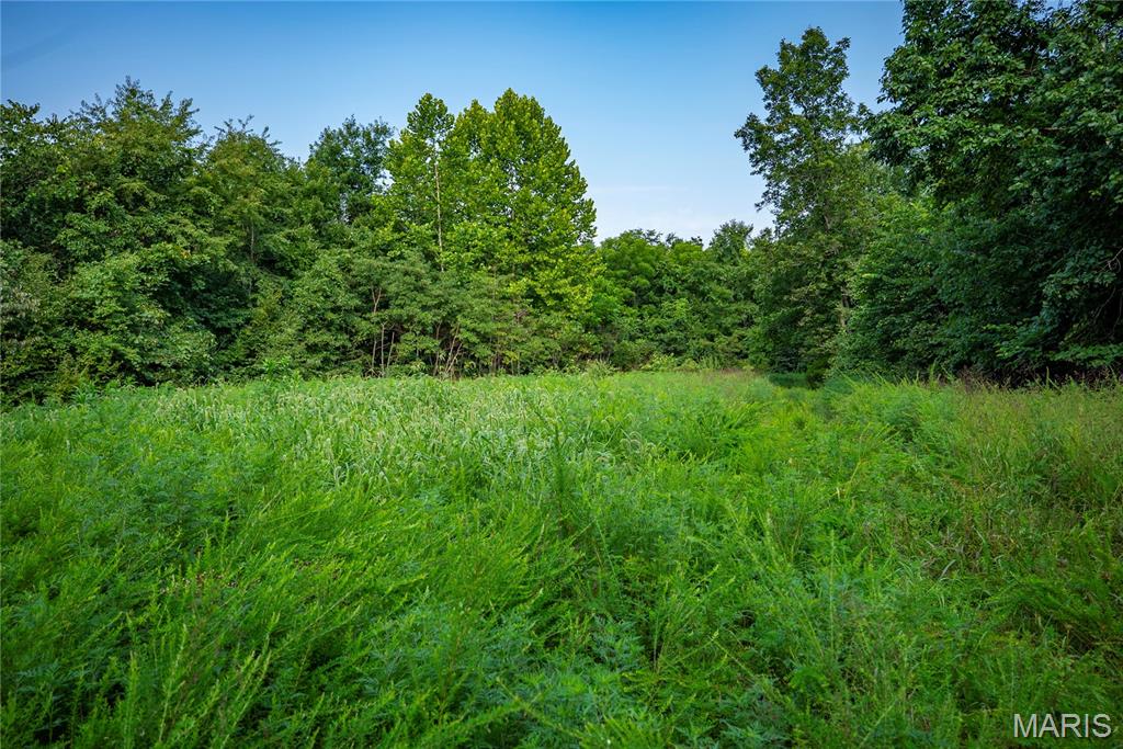 160 County Road 203 Property Photo 33
