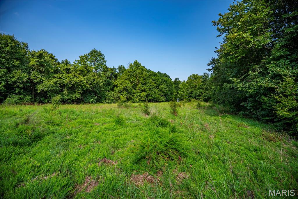 160 County Road 203 Property Photo 35