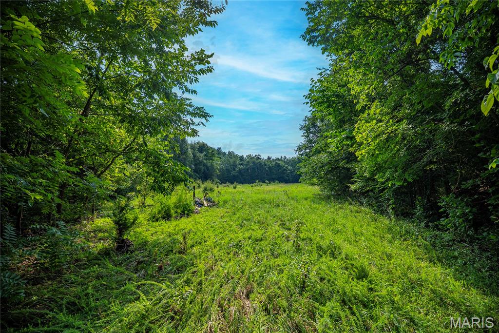 160 County Road 203 Property Photo 38
