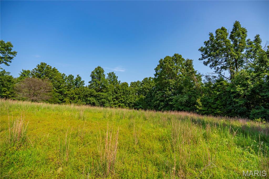 160 County Road 203 Property Photo 42