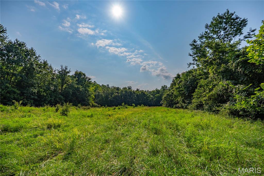 160 County Road 203 Property Photo 43