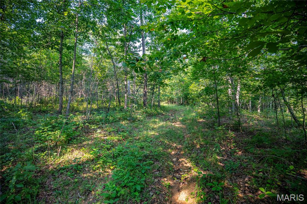 160 County Road 203 Property Photo 44