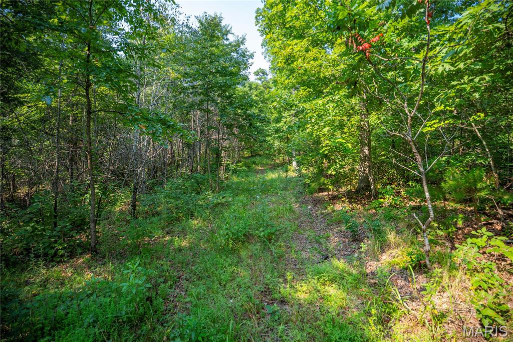 160 County Road 203 Property Photo 45