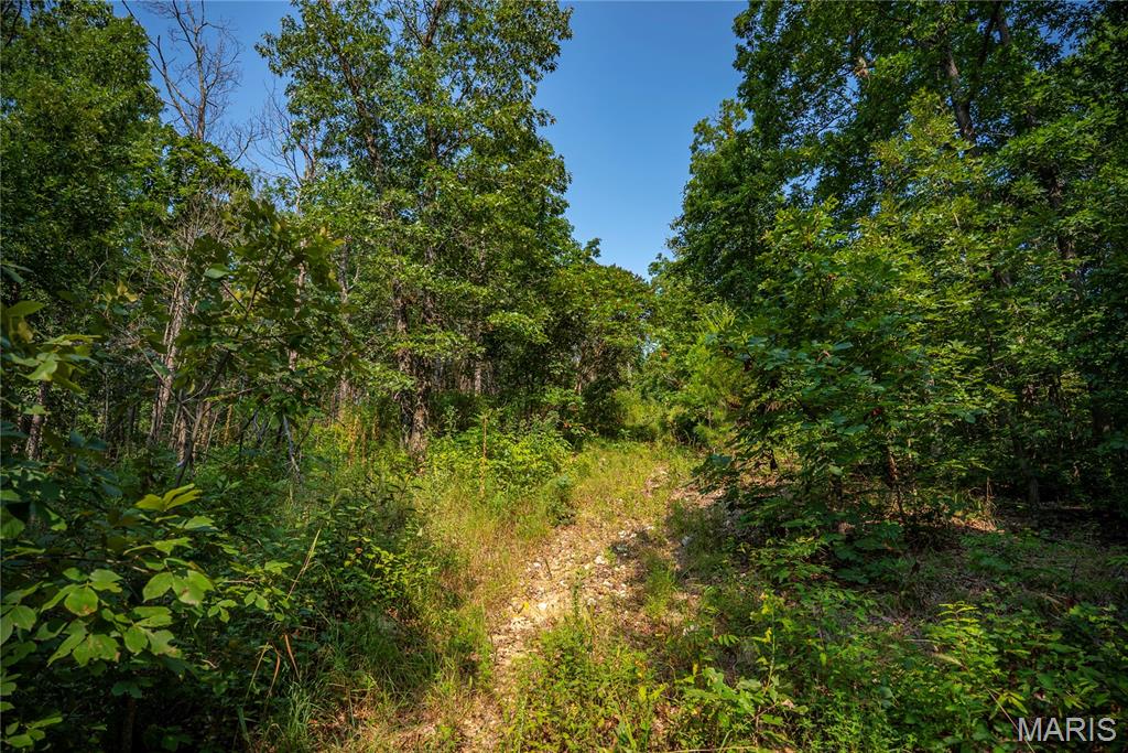 160 County Road 203 Property Photo 46