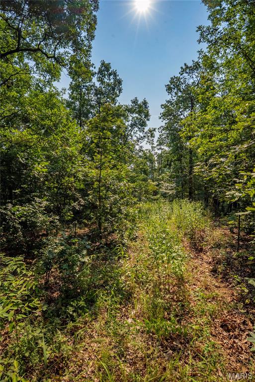 160 County Road 203 Property Photo 47
