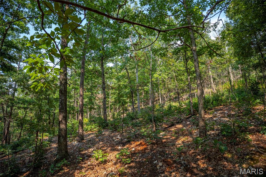 160 County Road 203 Property Photo 49