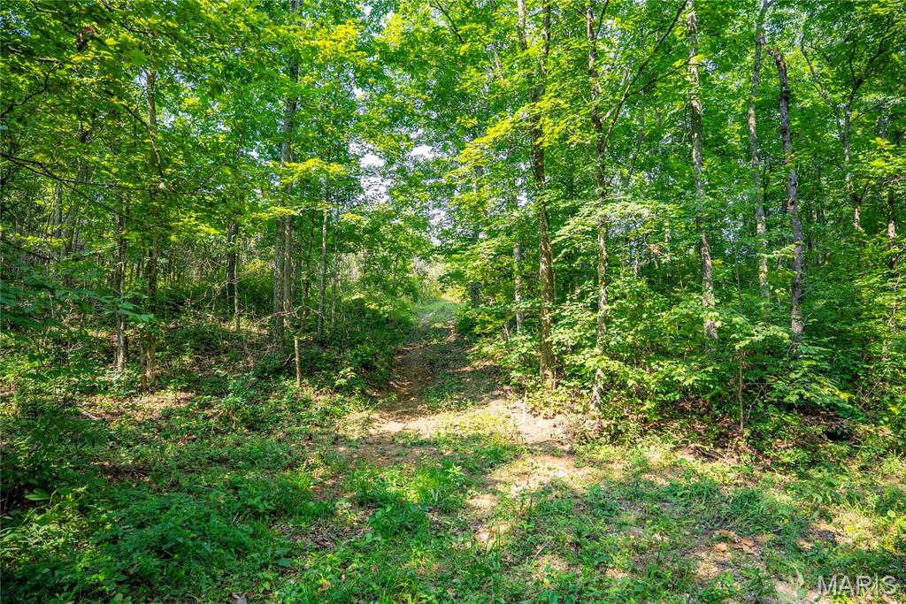 160 County Road 203 Property Photo 56