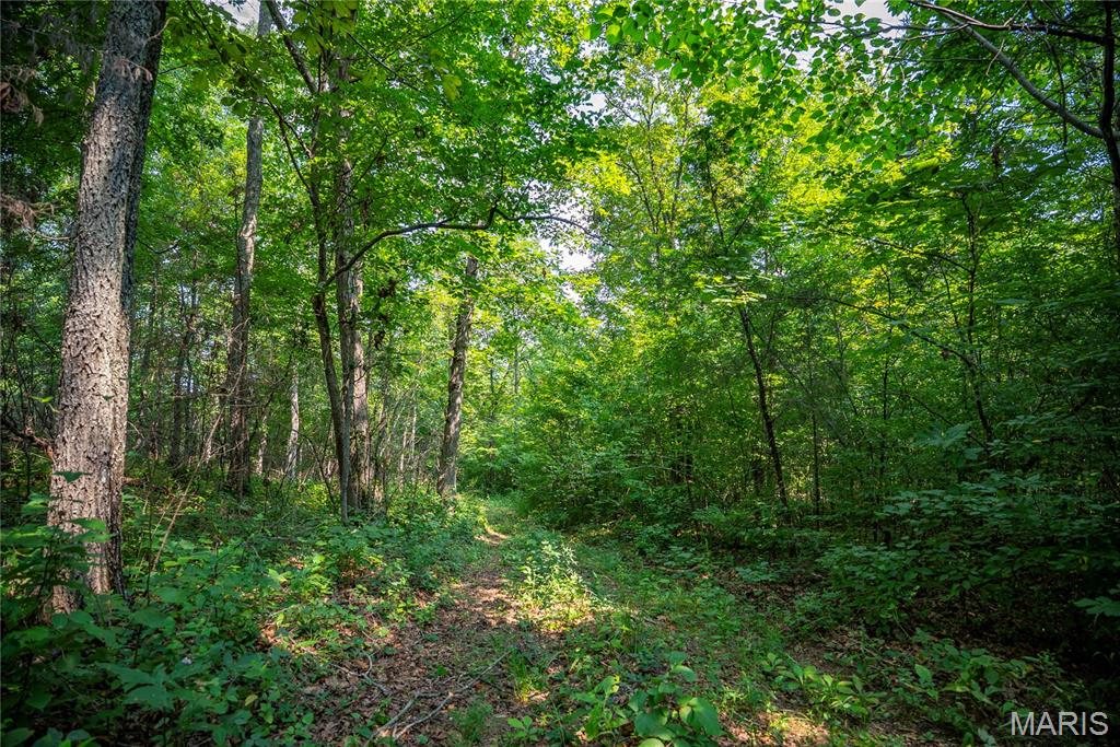 160 County Road 203 Property Photo 58