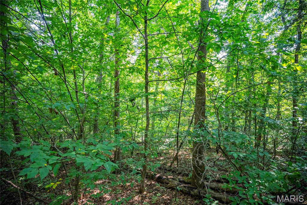 160 County Road 203 Property Photo 59