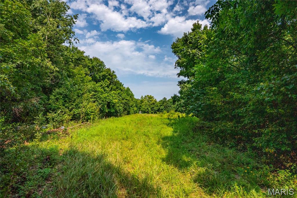 160 County Road 203 Property Photo 60