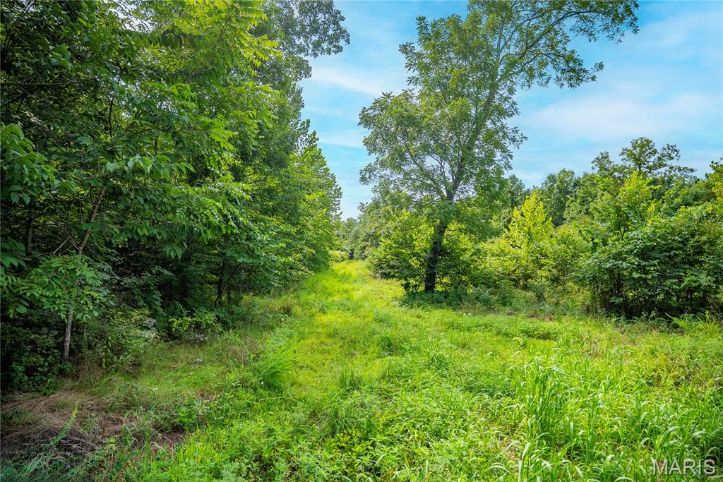 160 County Road 203 Property Photo 63
