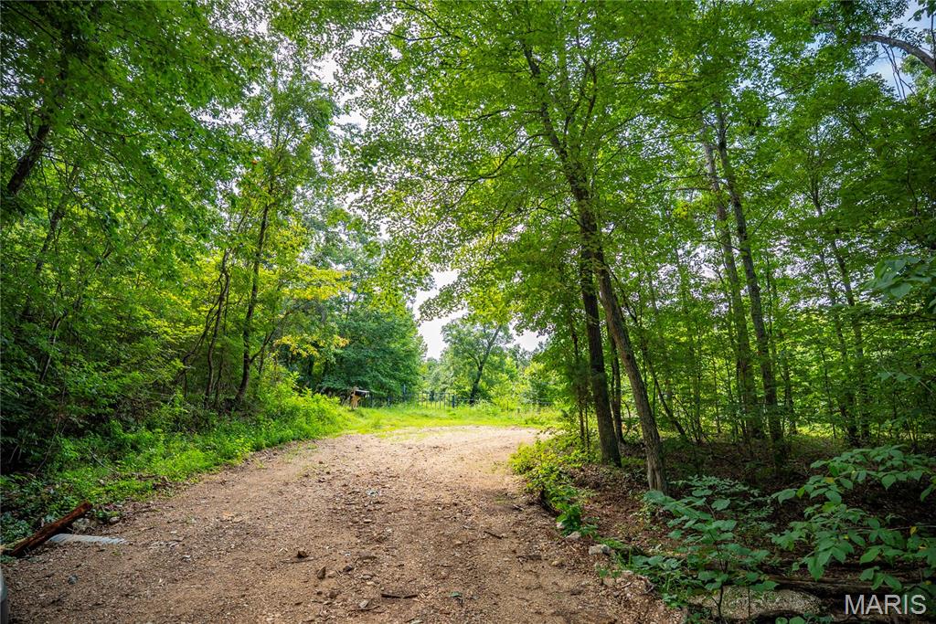 160 County Road 203 Property Photo 64